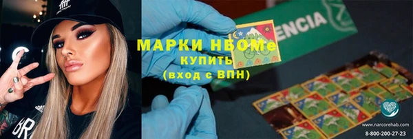 шишки Алзамай