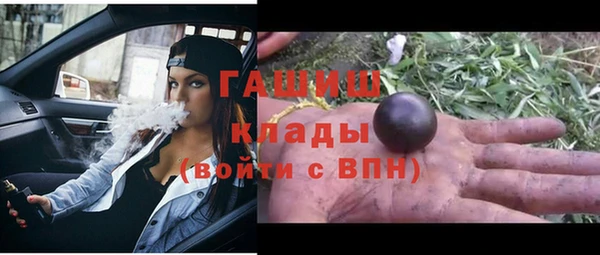 шишки Алзамай